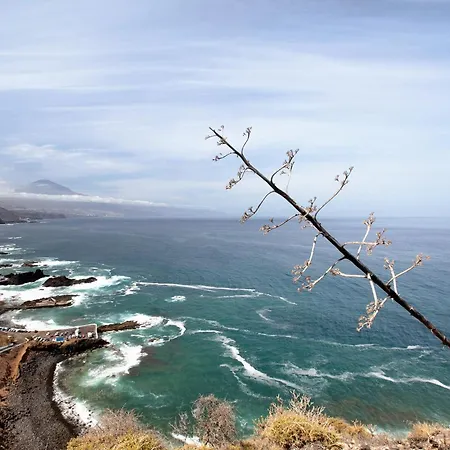 Estudio La Morena El Pris