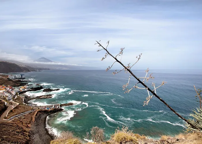 Estudio La Morena El Pris